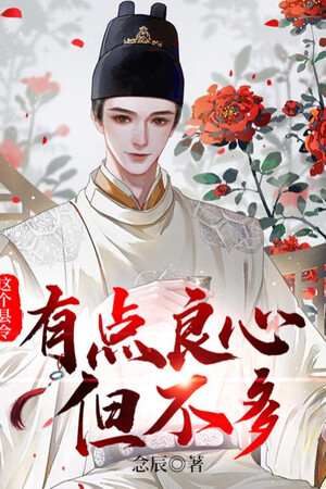 Cái Huyện Lệnh Này Có Chút Lương Tâm, Nhưng Không Nhiều!