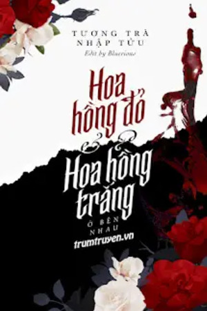 Hoa Hồng Đỏ Và Hoa Hồng Trắng Ở Bên Nhau - Tương Trà Nhập Tửu