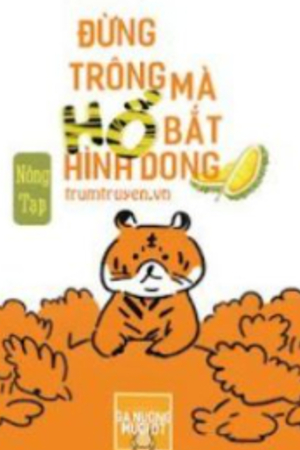 Đừng Trông Hổ Mà Bắt Hình Dong - Nông Tạp