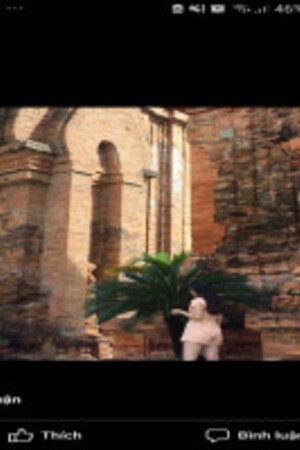 Dương Trần văn