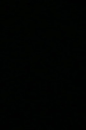 HGGDR31798