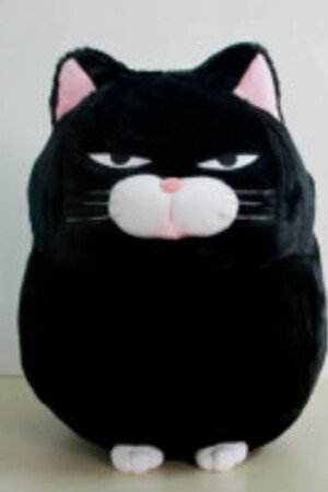 Mèo đen rong chơi