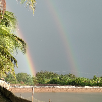 Lê Nựtt Min